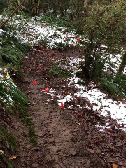 A muddy trail bounded by red flags on wires and snow beside the trail. 