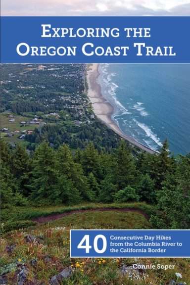 The book cover, showing houses scattered among trees, the gray sands of a curving beach, and the blue ocean with waves rolling in.