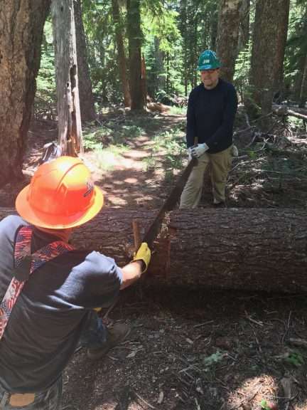 Two workers on either side of a log hold their hands on a crosscut saw.