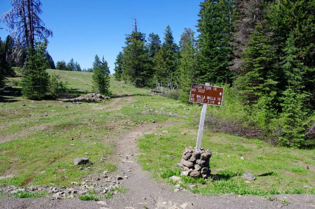 A brown trailhead sign in a meadow with fir trees in the background