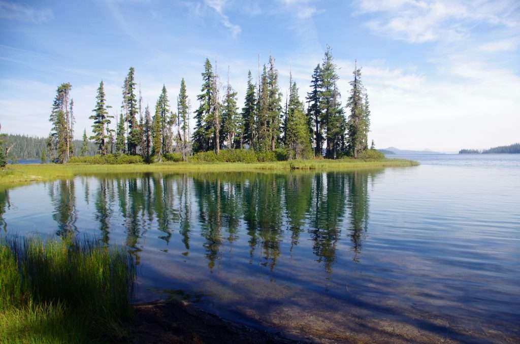 A small forested island in a lake.