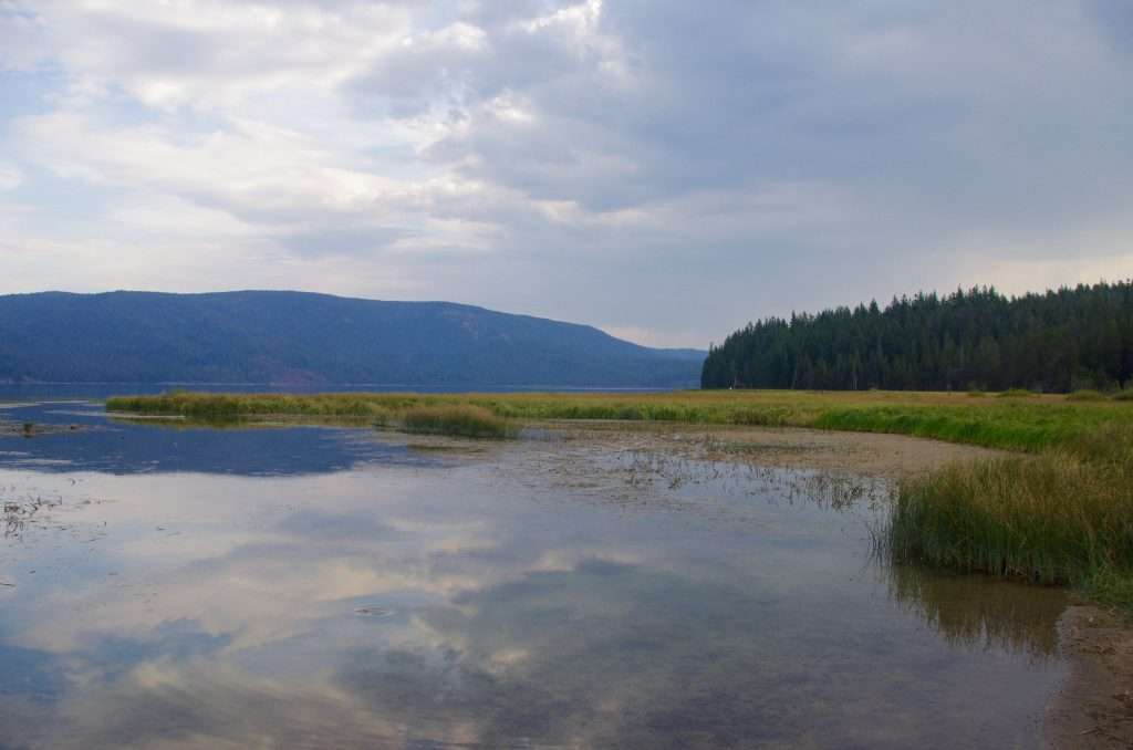  A lake reflecting clouds, with reeds and trees along the shore and what appears to be a mountain ridge in the distance.