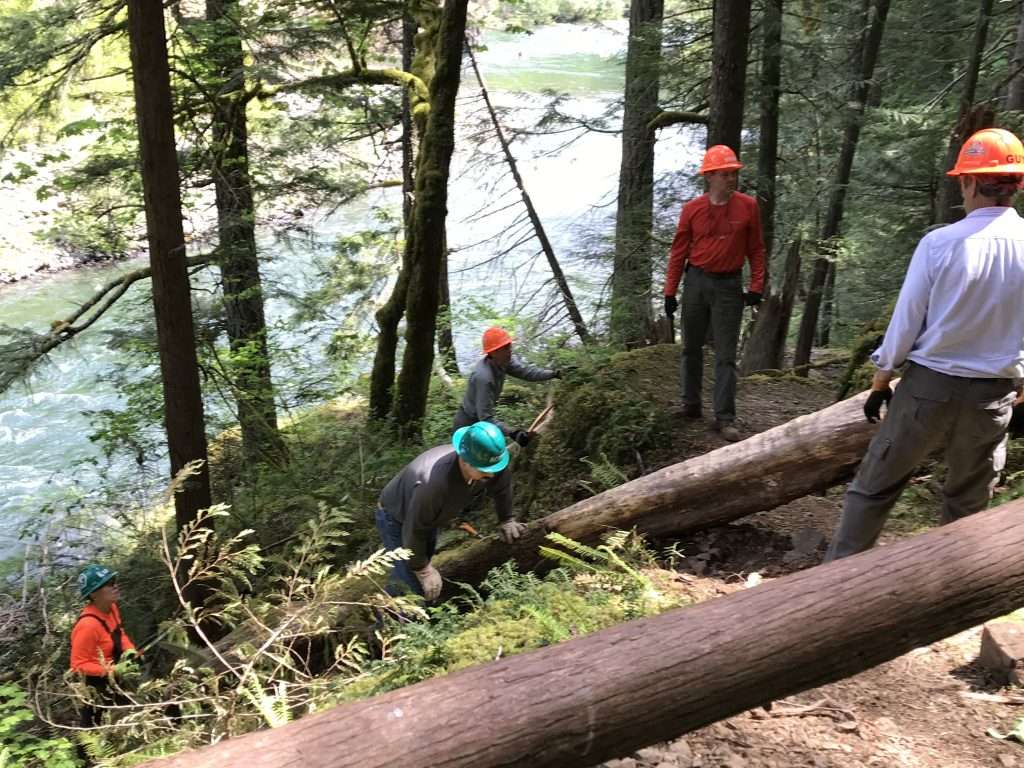 Five hard-hatted trail workers stand above, below, and beside two logs on a steep forested hillside above a river.