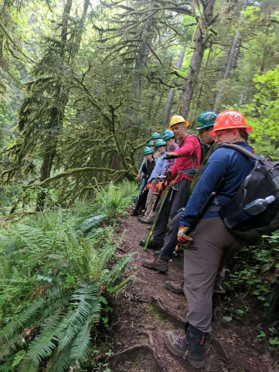 Trail workers in hard hats line up along a fern-lined trail listening to their crew leader explaining possible trail fixes.