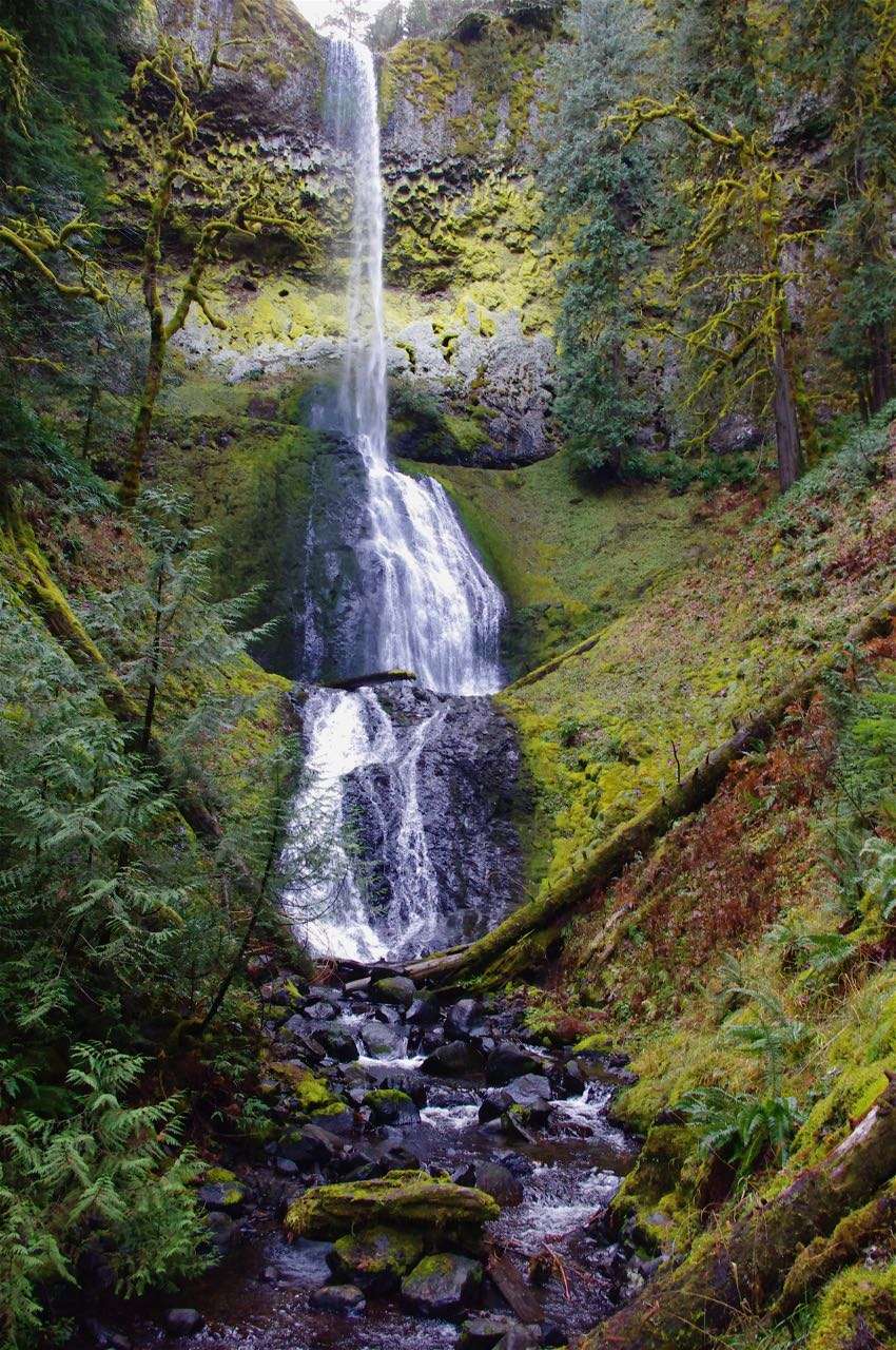 A tall, narrow, two-tiered waterfall plunges over a rock rim into a forested valley.