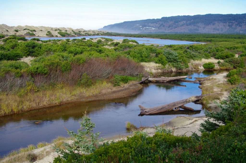 A creek flows through a flat, brushy area with a lake, sand dunes, and a forested coastal promontory in the distance.