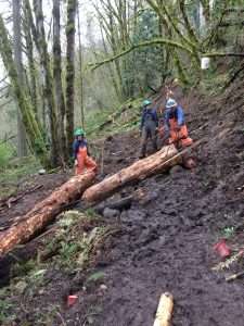 Three volunteers work with ropes and crowbars to move a large log from the trail