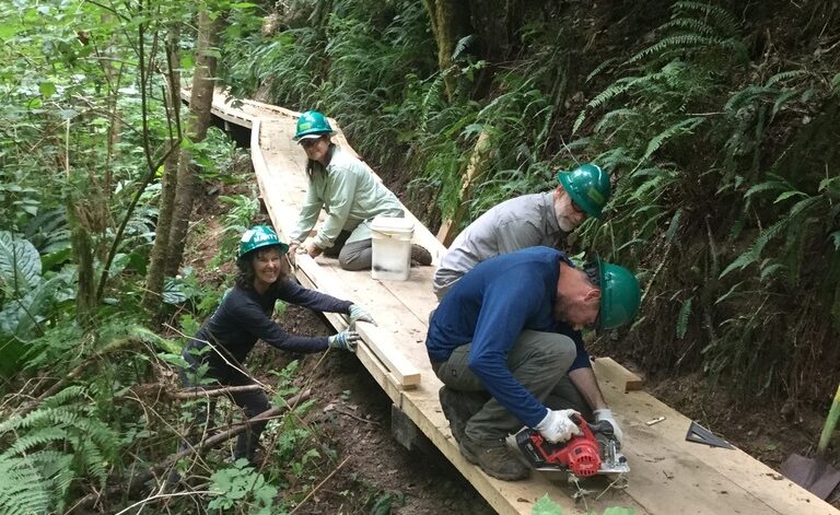 Four people on a new board walk. Two of them smile at the camera, while the other two use a power saw to cut a board.