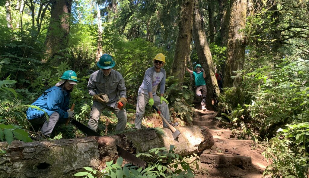 three volunteers in hard hats use a saw and an axe to clear a log away from a dirt trail.