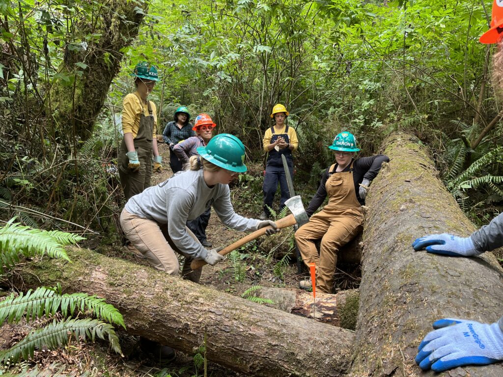 a group of women in the woods. One of them is using an axe to pound a wedge into a log while the others observe. 