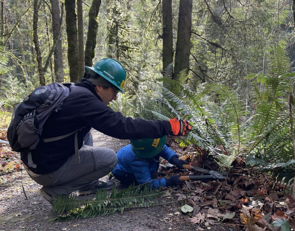 An adult holds a fern while a child uses lopper to cut it at the base. 