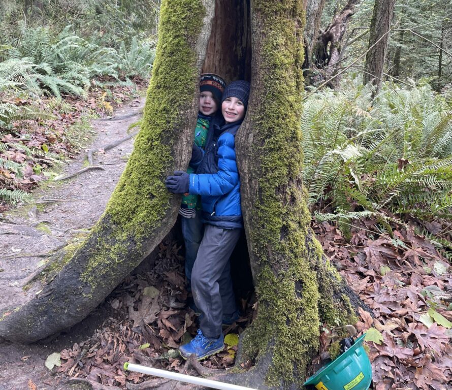 Two children smile out from the inside of a hollow tree. 
