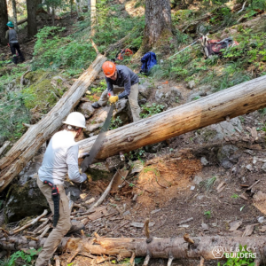 Two volunteers use a crosscut saw to clear a downed log on a forested trail.